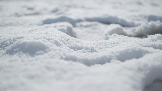 さよなら、さよなら。その日まで